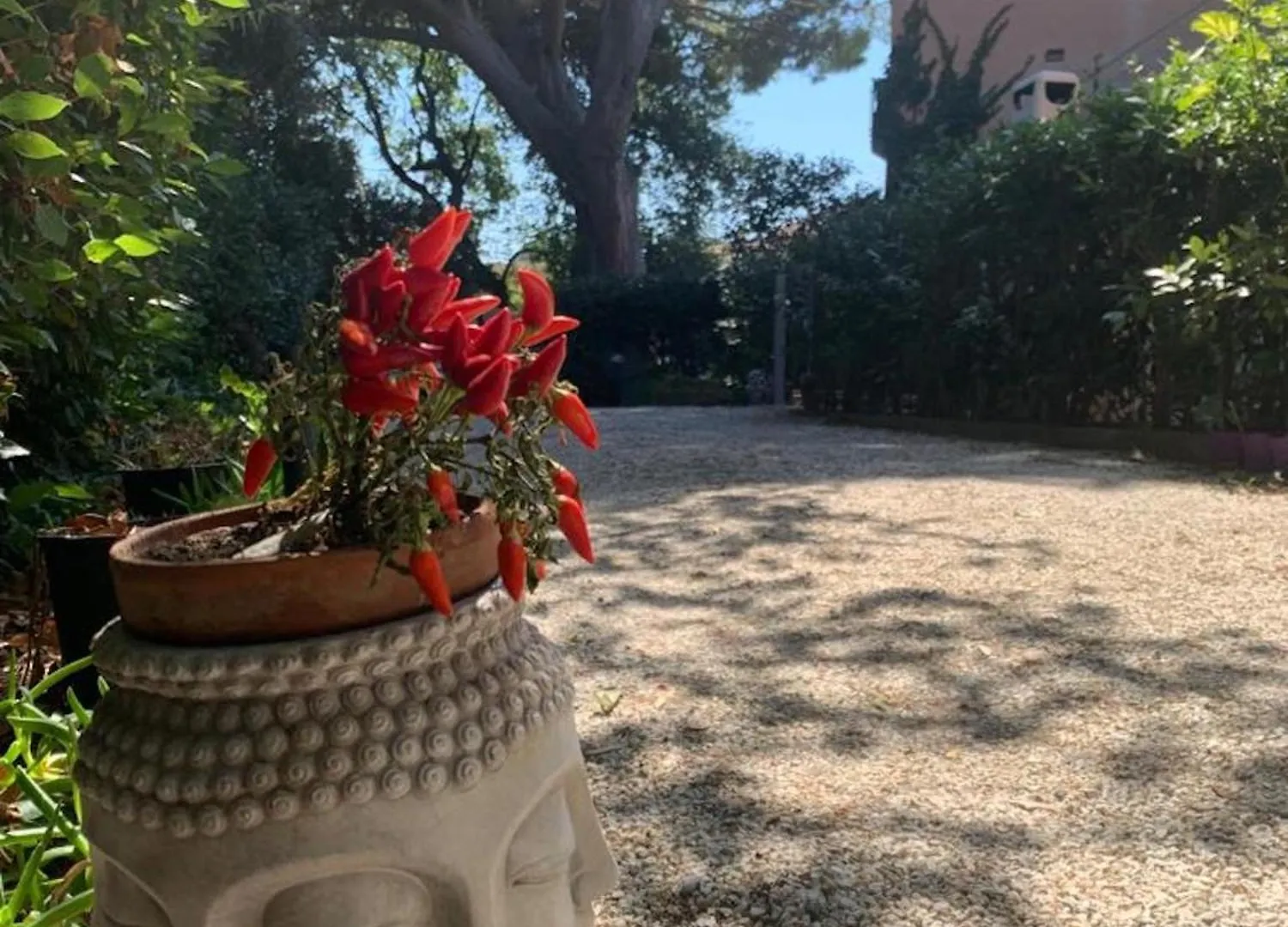 Casa nel verde a 300 mt dal mare a Castiglioncello Appartamento